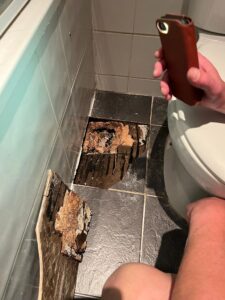 Leaking Toilet Teddington TW11